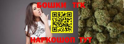 Альфа ПВП Заволжье